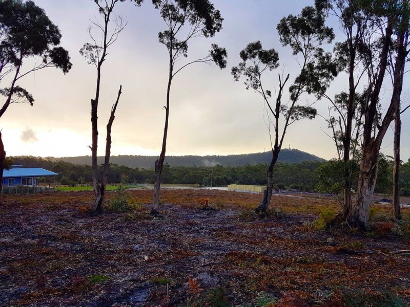 12 Bissett Place, Heybridge TAS 7316
