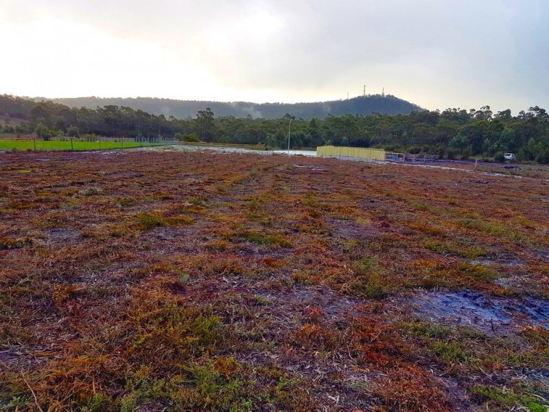 12 Bissett Place, Heybridge TAS 7316