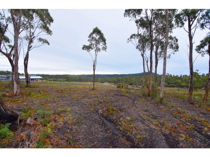 12 Bissett Place, Heybridge TAS 7316