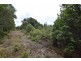 Lot 824,  Waratah Road, Waratah TAS 7321