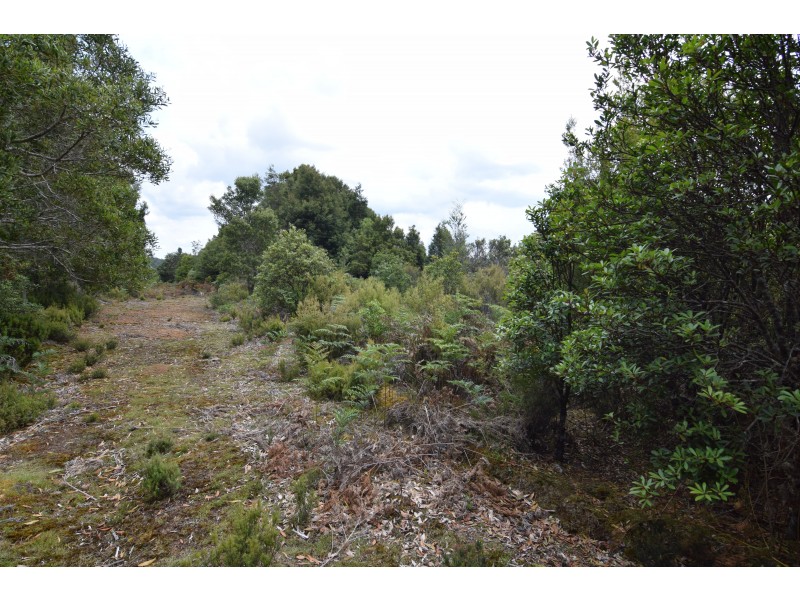 Lot 824,  Waratah Road, Waratah TAS 7321
