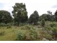 Lot 824,  Waratah Road, Waratah TAS 7321
