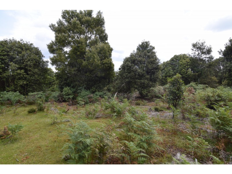 Lot 824,  Waratah Road, Waratah TAS 7321