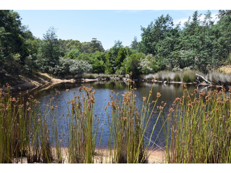 201 Pages Road, Calder TAS 7325
