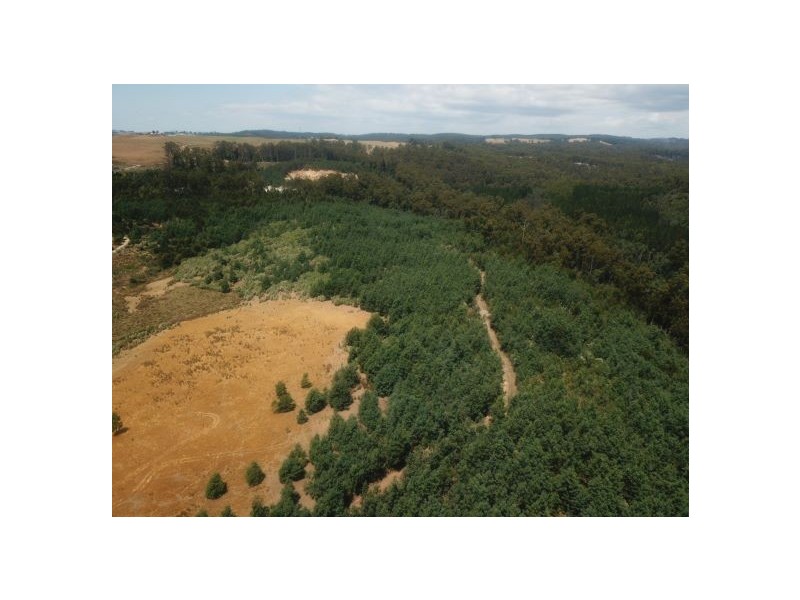 201 Pages Road, Calder TAS 7325