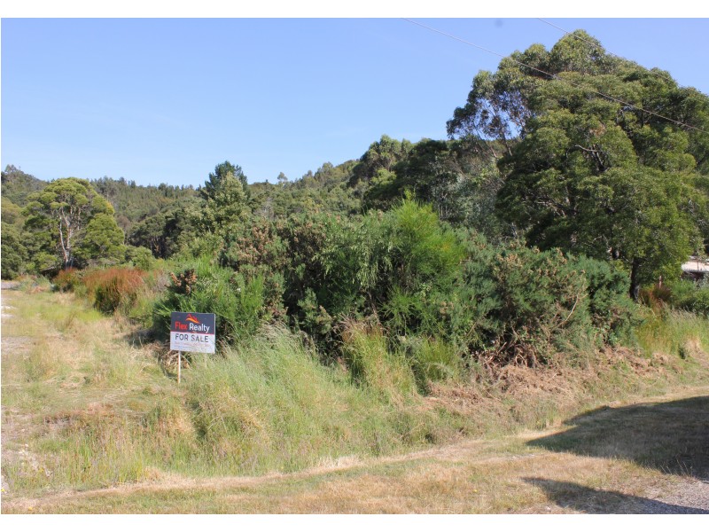 21 Queen Street, Zeehan TAS 7469