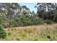 Lot 5 Hurst Street, Zeehan TAS 7469
