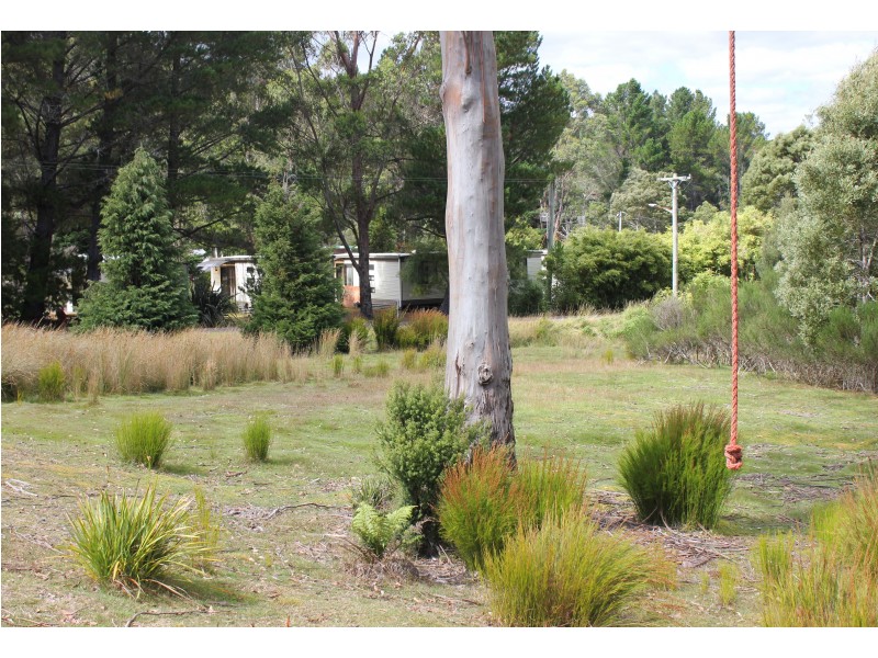 Lot 5 Hurst Street, Zeehan TAS 7469