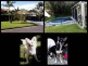 200m off Gold Coast Hwy, Mermaid Beach QLD 4218