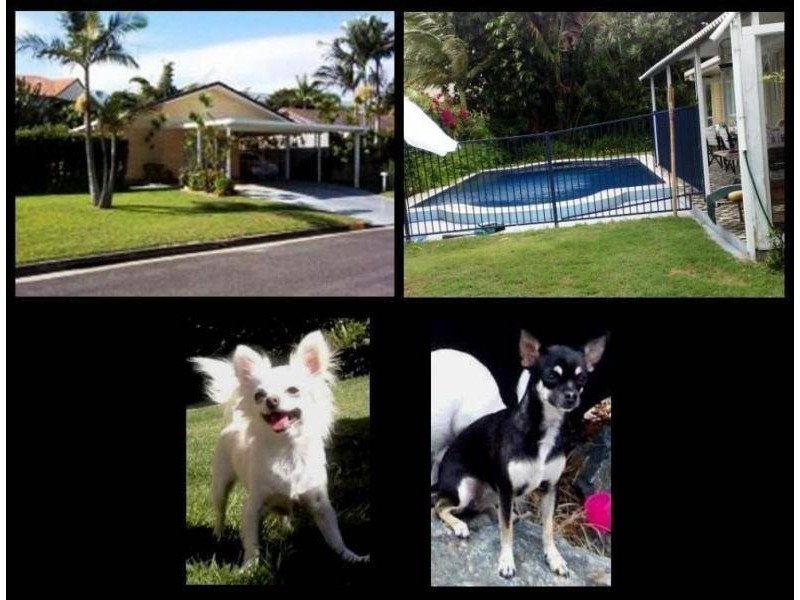 200m off Gold Coast Hwy, Mermaid Beach QLD 4218