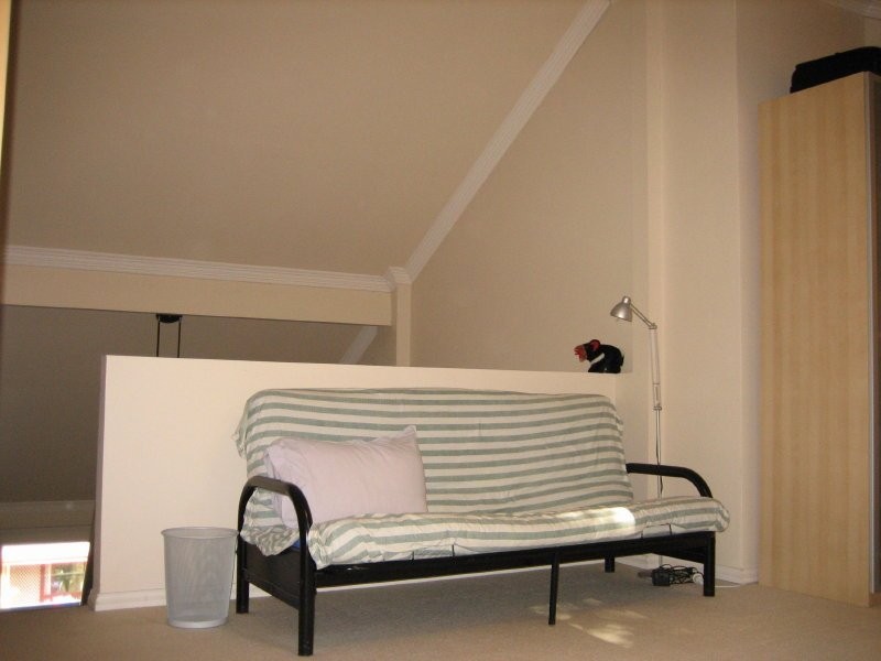 58 Park Street, Erskineville NSW 2043