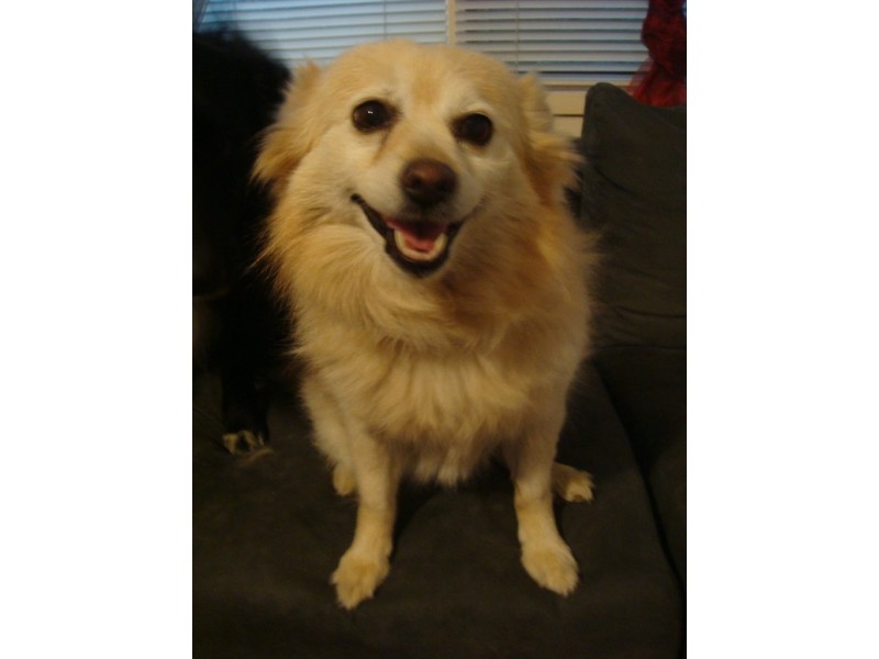 Glenfern Road, Ferntree Gully VIC 3156