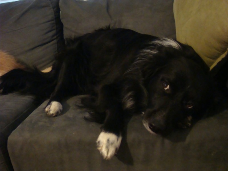 Glenfern Road, Ferntree Gully VIC 3156