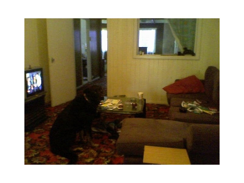 54 Sunbeam Street, Fairfield QLD 4103