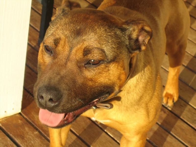 142 Marshall Road, Airport West VIC 3042