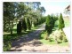 cowie, Carseldine QLD 4034