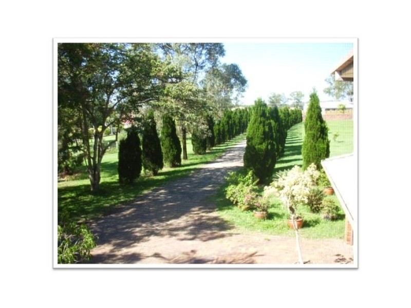 cowie, Carseldine QLD 4034