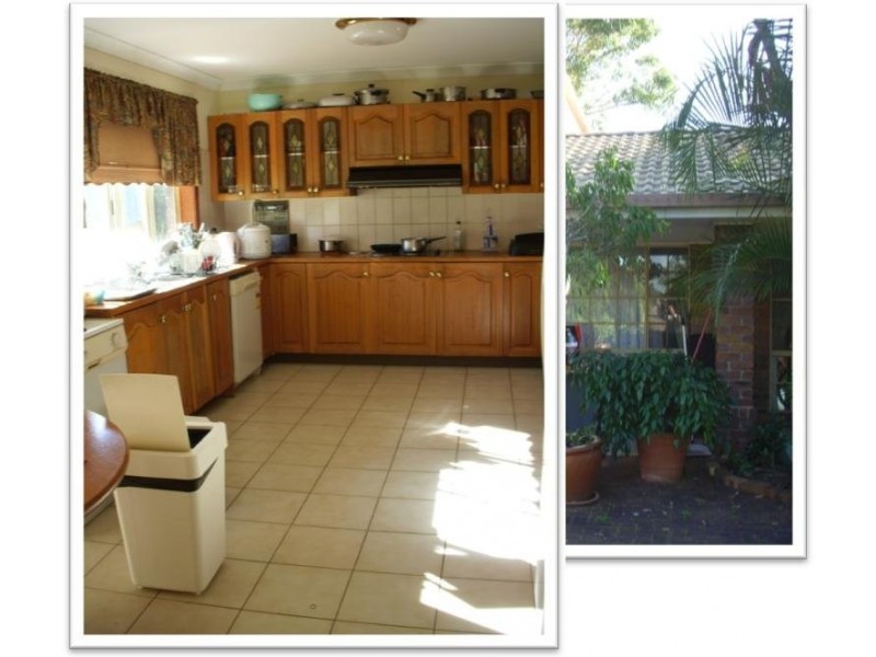 cowie, Carseldine QLD 4034