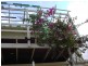 46 Allambi avenue, Broadbeach Waters QLD 4218