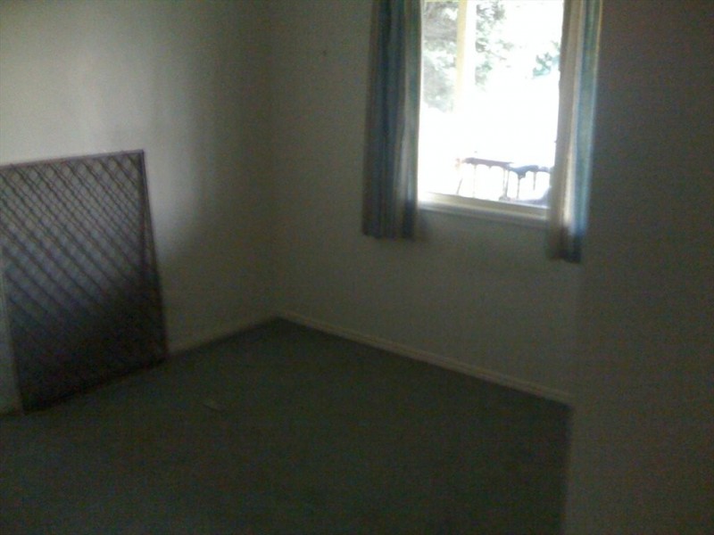 society, Pacific Pines QLD 4211
