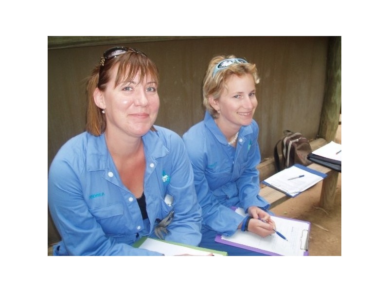 33 Mitchell Street, North Ward QLD 4810