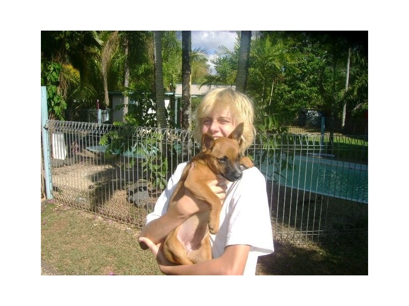 308 handford road, Taigum QLD 4018