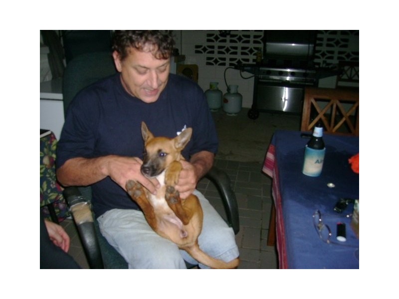 308 handford road, Taigum QLD 4018