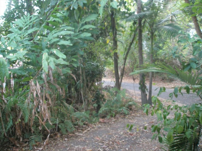 Tanner Crescent, Stratford QLD 4870