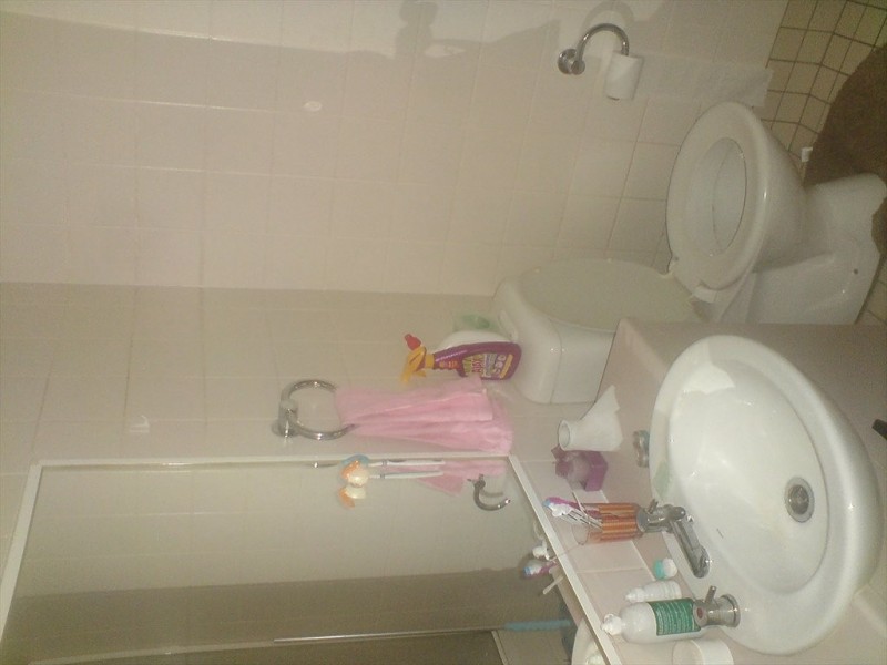 100 Cleveland Street, Chippendale NSW 2008