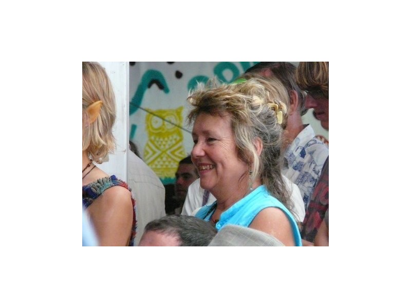 27  mackay terrace, Bardon QLD 4065