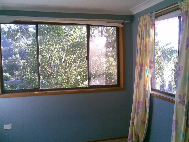 83 Turpentine Street, Wyoming NSW 2250