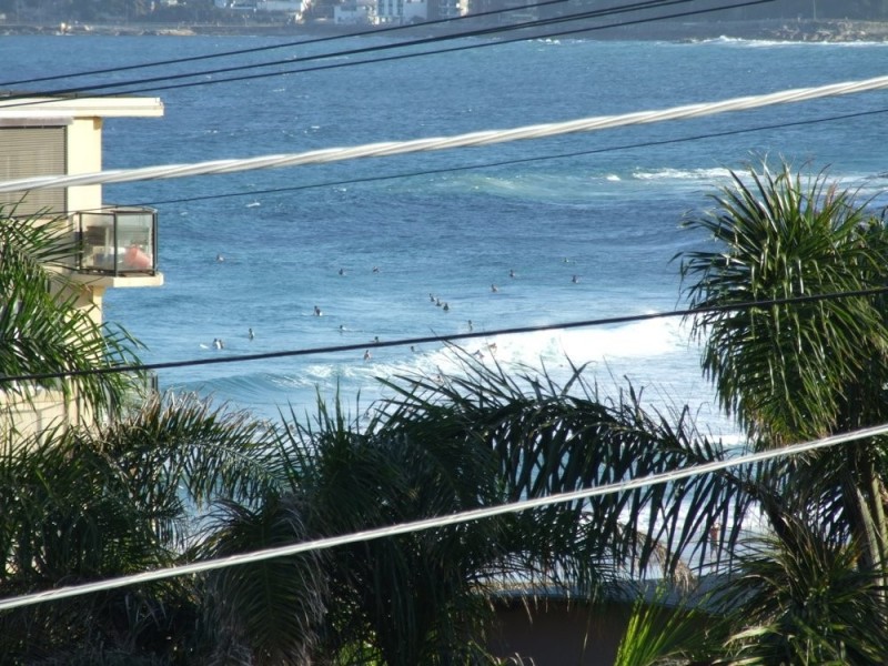 2 The Drive, Freshwater NSW 2096