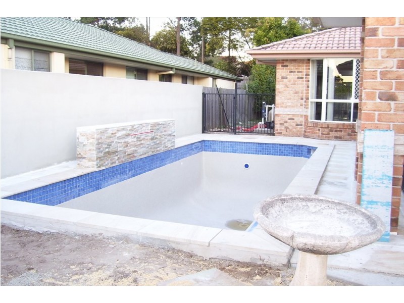 10  tolai, Mudgeeraba QLD 4213