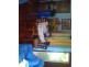 121 Atkinson, Liverpool NSW 2170
