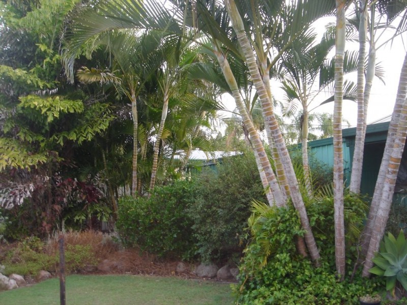 15 Wandilla cres, Loganholme QLD 4129