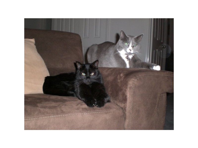 12A  Burnside Court, Kingsley WA 6026