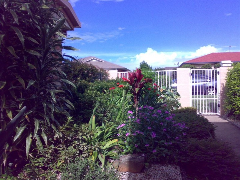 94 Caladium Street, Wakerley QLD 4154