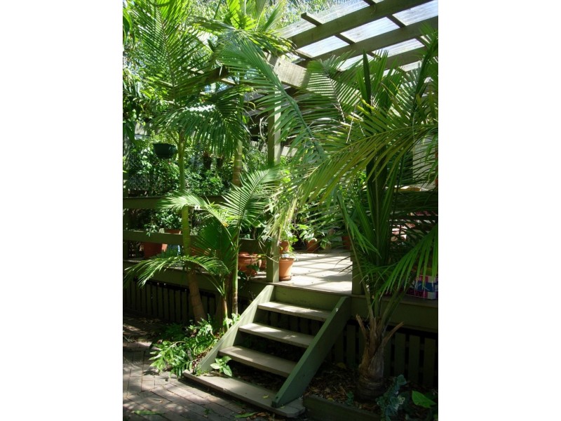 51 Borden Street, Sherwood QLD 4075