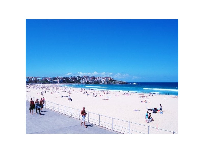 41 Mitchell Street, Bondi Beach NSW 2026