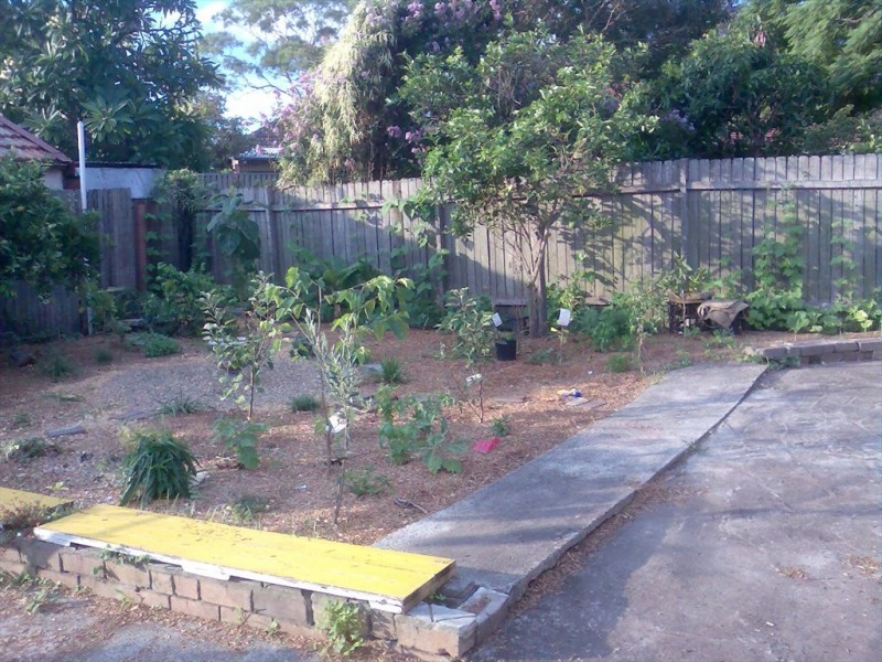 79 Edinburgh Rd, Marrickville NSW 2204