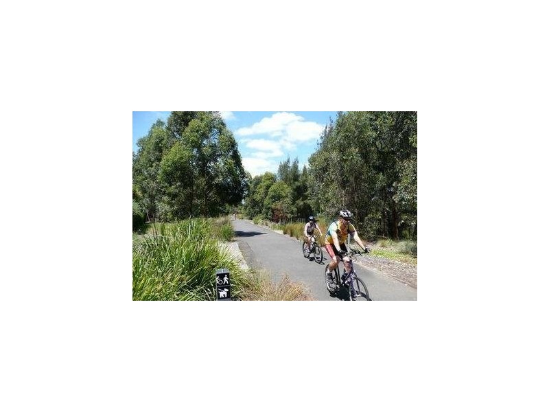 17 Blaxland Avenue, Newington NSW 2127