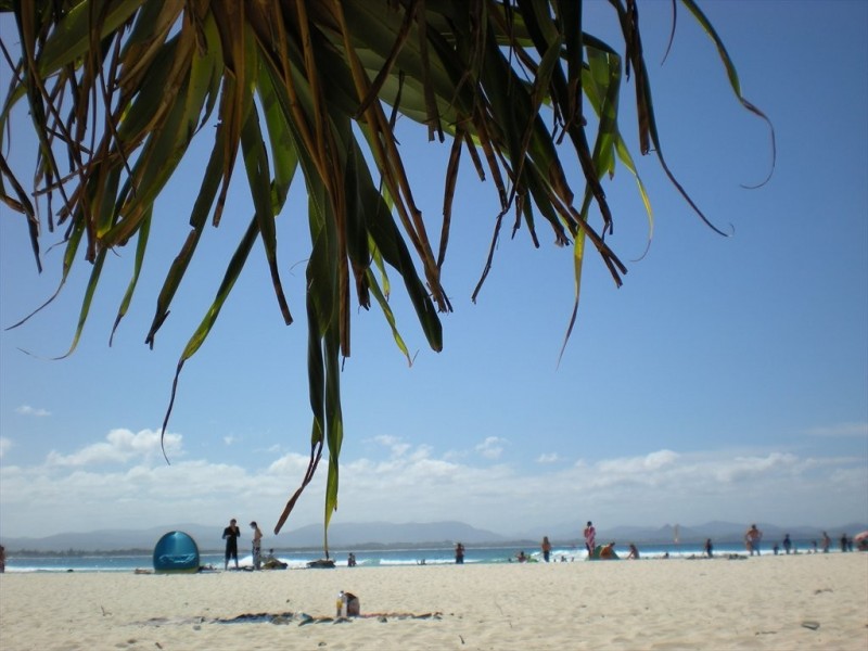 24 Warners Ave, North Bondi NSW 2026