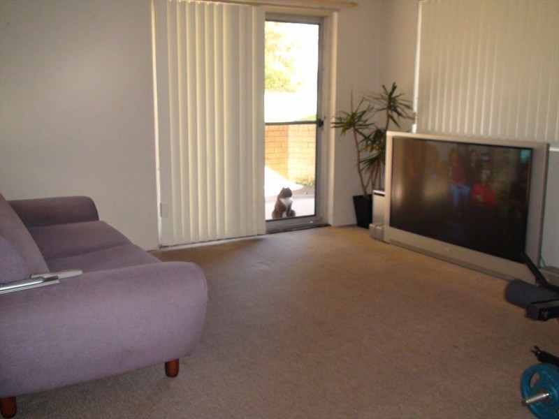 boronia, Dee Why NSW 2099