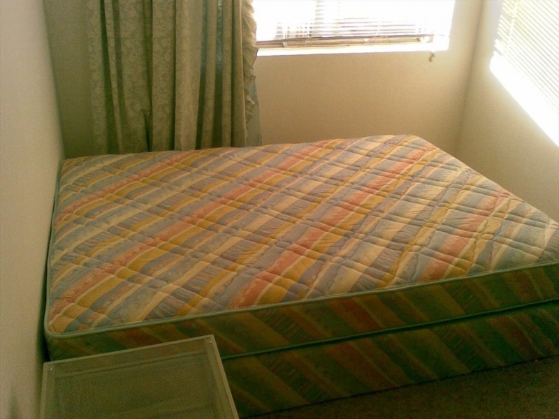 10 The Avenue, Ashfield NSW 2131