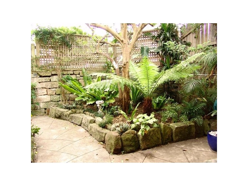35 allens parade, Bondi Junction NSW 2022