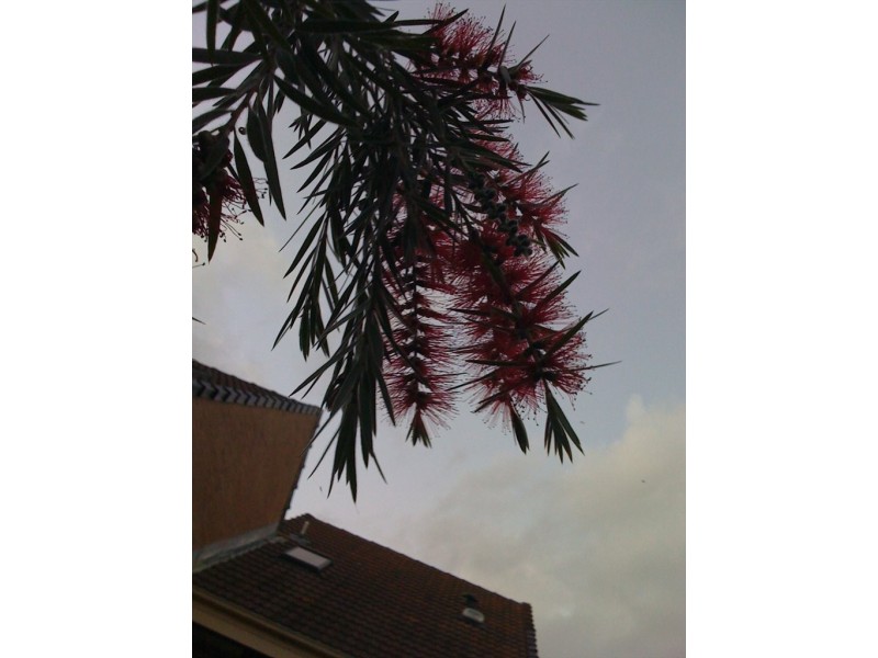 69 Moore Park Road, Centennial Park NSW 2021