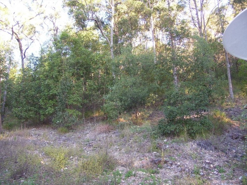 41 Callicarpa st, Reedy Creek QLD 4227