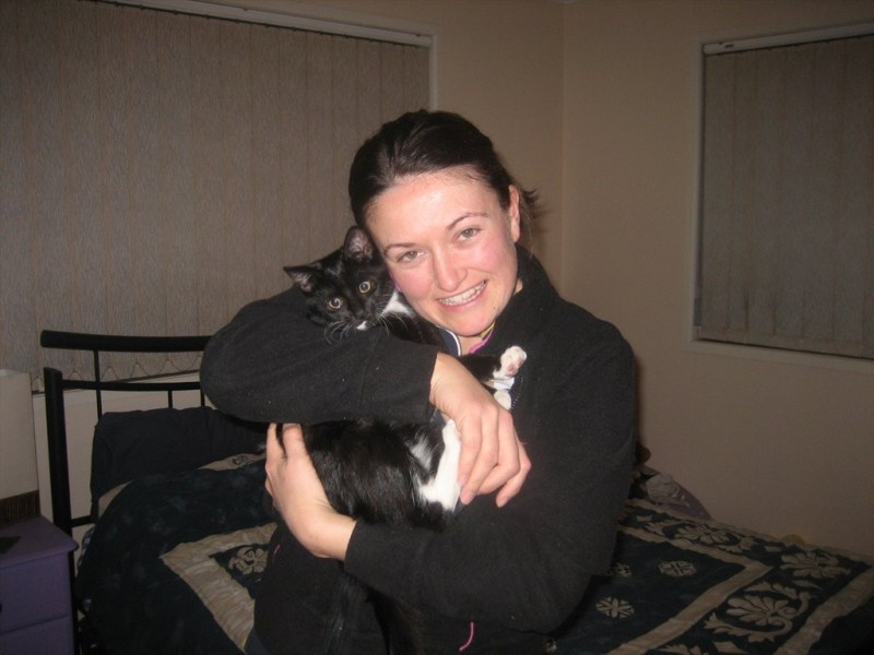 42 Salisbury Street, Woolloongabba QLD 4102