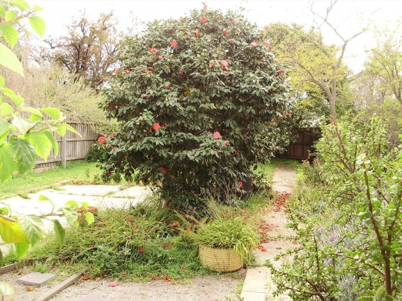 28A  Braemar Street, Essendon VIC 3040