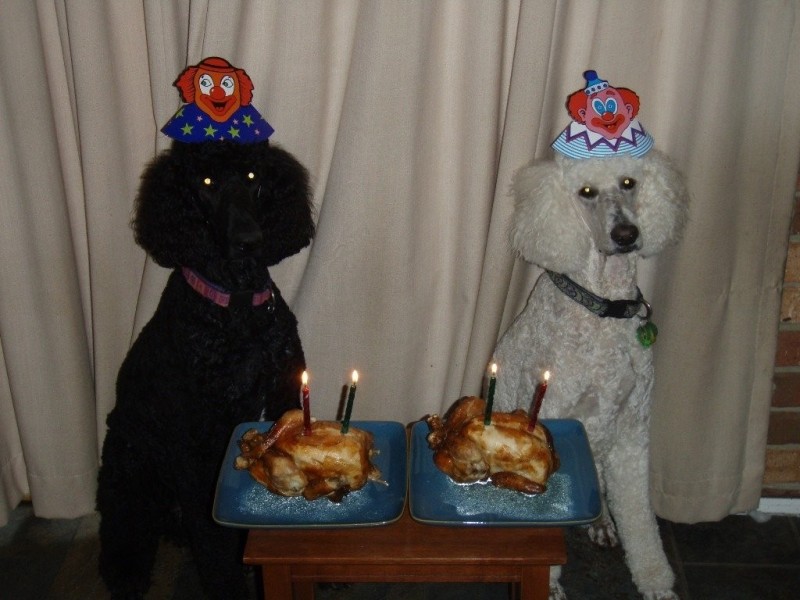 3 Beardsmore Place, Gowrie ACT 2904